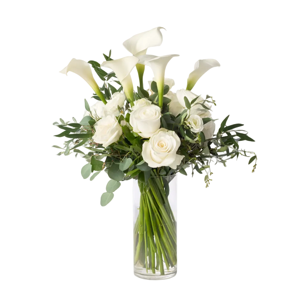 White Elegance