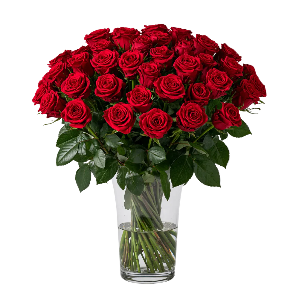 Three Dozen Long Stem Red Roses