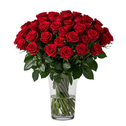 Three Dozen Long Stem Red Roses