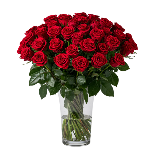 Three Dozen Long Stem Red Roses