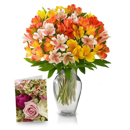 50 Blooms of Alstromeria & Card