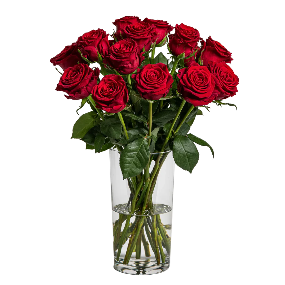 Blooming Heart Roses