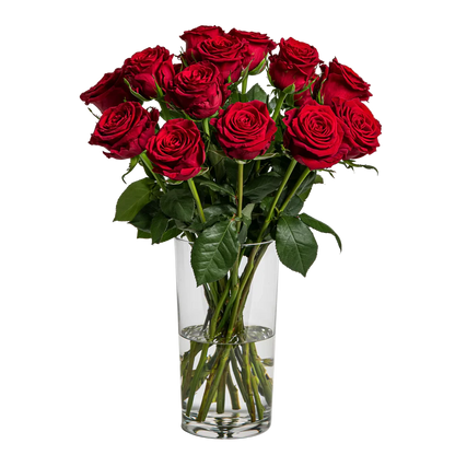 Blooming Heart Roses