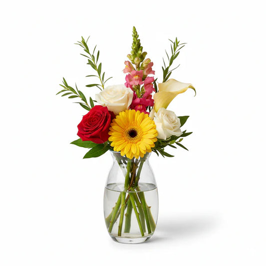 Christmas Designer Collection I