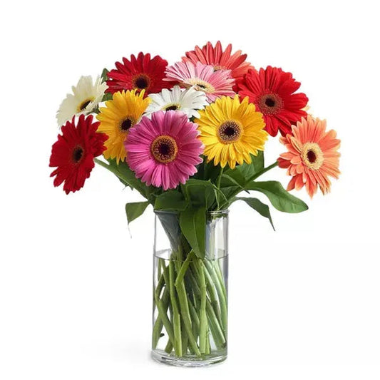 gerbera bouquet