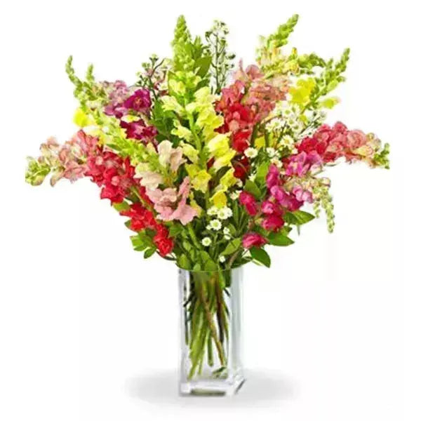snapdragon flower bouquet