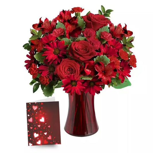 Valentines Designer Collection III New Zealand